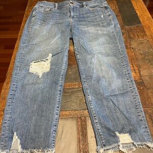 Lane Bryant Blue Distressed Boyfriend ankle/cropped jeans